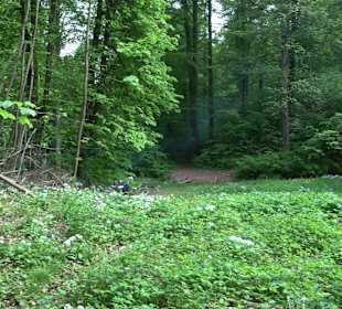 Breitenbachquelle