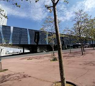 Museum of Natural Sciences of Barcelona