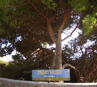 Einfahrt zum archäologischen Park