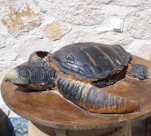 Keramik - Schildkröte