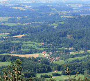 Wald Wipfel Weg mit Erlebnispfad in Sankt Englmar