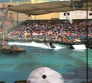 Universal-Studios