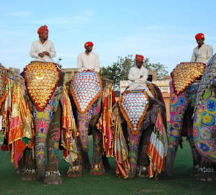 Elefant Festival in Jaipur