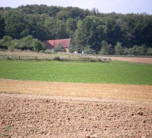 Blick auf den Acker