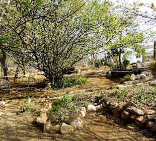 Impressionen vom Rundgang durch den Kräutergarten