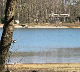 Restaurant Cafe Am Springhorstsee