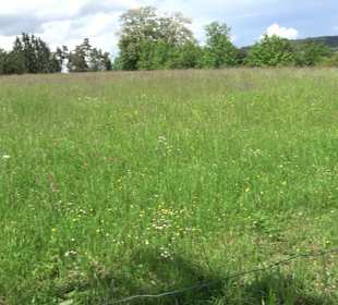 Vital und Wellnesshotel Albblick