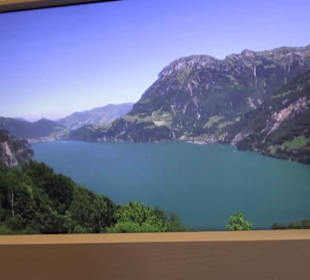 Heimatschutzzentrum in der Villa Patumbah