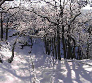 Winter an der Rosstrappe