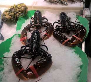 Fische, Muscheln und Hummer