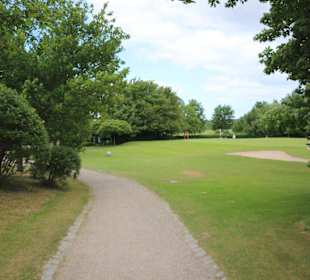 Blick auf die Fairways
