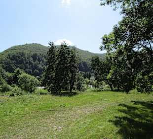 Valea Mureșului / Mureș-Tal 