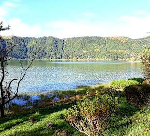 Furnassee