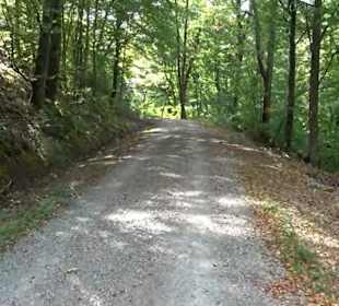Wanderung Kirnberg-Runde Bebenhausen