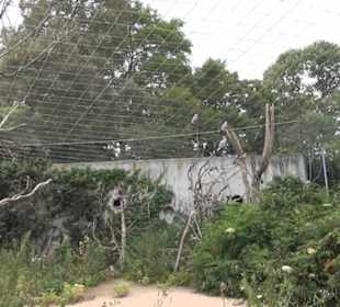 Vogelfreifluggelände