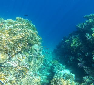 Schnorcheln Marsa Alam