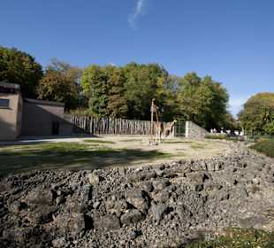 Thüringer Zoopark Erfurt 