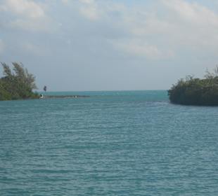 Auf dem Weg zu den Rochen