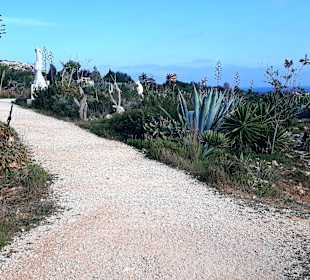Kakteengarten am Skulpturenpark