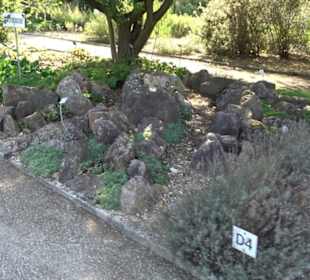 Botanischer Garten München