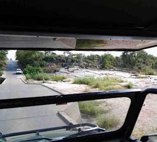 Krüger Nationalpark