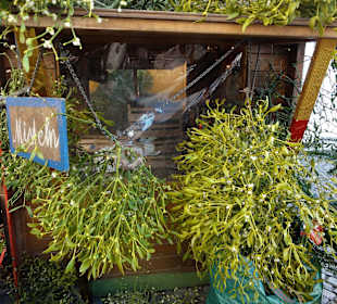 Rundgang über den Lamberti-Markt 2016