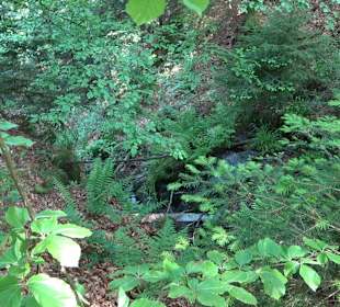 Griesbacher Wasserfälle Bad Griesbach