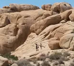 Joshua Tree National Park