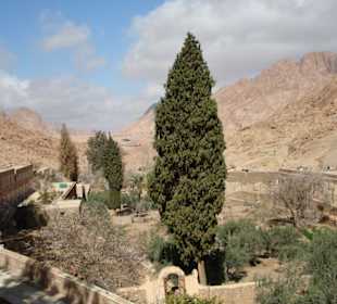 Der Garten zum Katharina Kloster