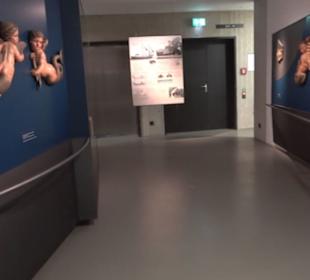 Museum Starnberger See