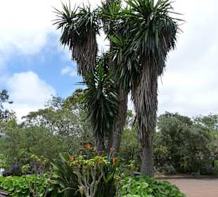Impressionen La Gomera