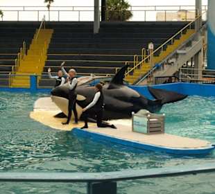 Miami Seaquarium