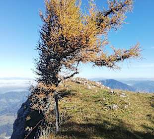 Wandern Fladnitz an der Teichalm