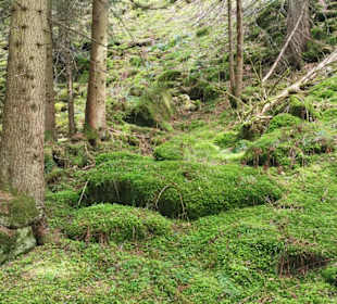 Wandern Waltensburg/Vuorz