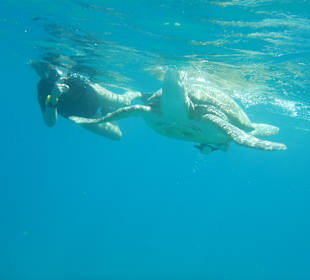 Schnorcheln Hurghada