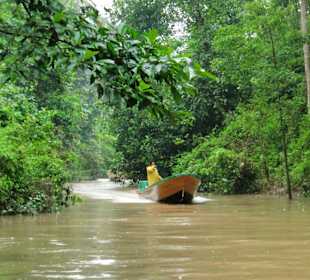 Kinabatangan River