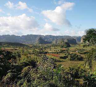 Vinales 