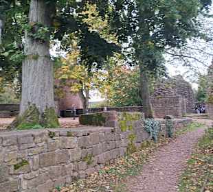 Kurpark Illingen in Illingen