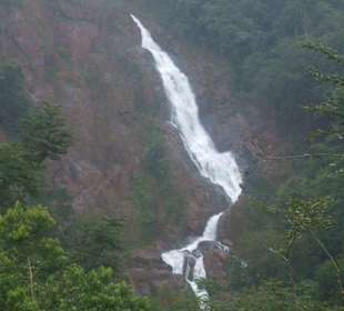 Pura Vida Wasserfälle