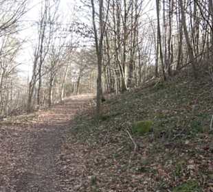 Wasserfallsteig
