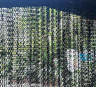 Singapur Zoo