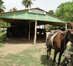 Auf gehts - jetzt wird geritten