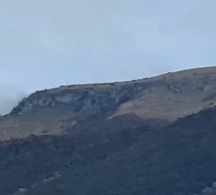 Der seitliche Flügel