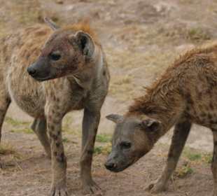Liebevolle Begegnung