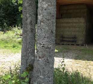 Hochgeträumt Premiumwanderung