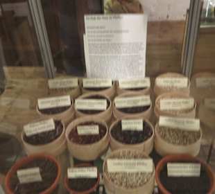 Spicy's Gewürzmuseum