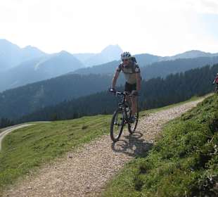 Auf dem Harlaßanger