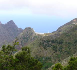 Blick, Punta del Hidalgo u. Chinamada