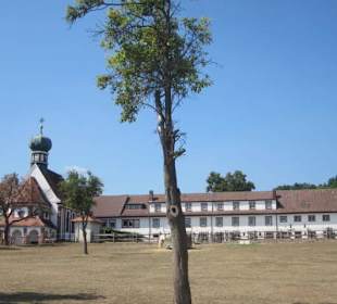 Ehem. Kloster Liebfrauenberg