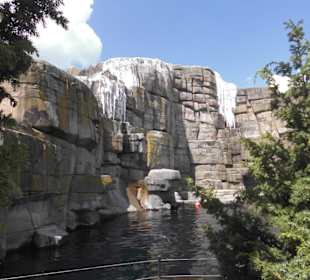 Tierpark Hagenbeck